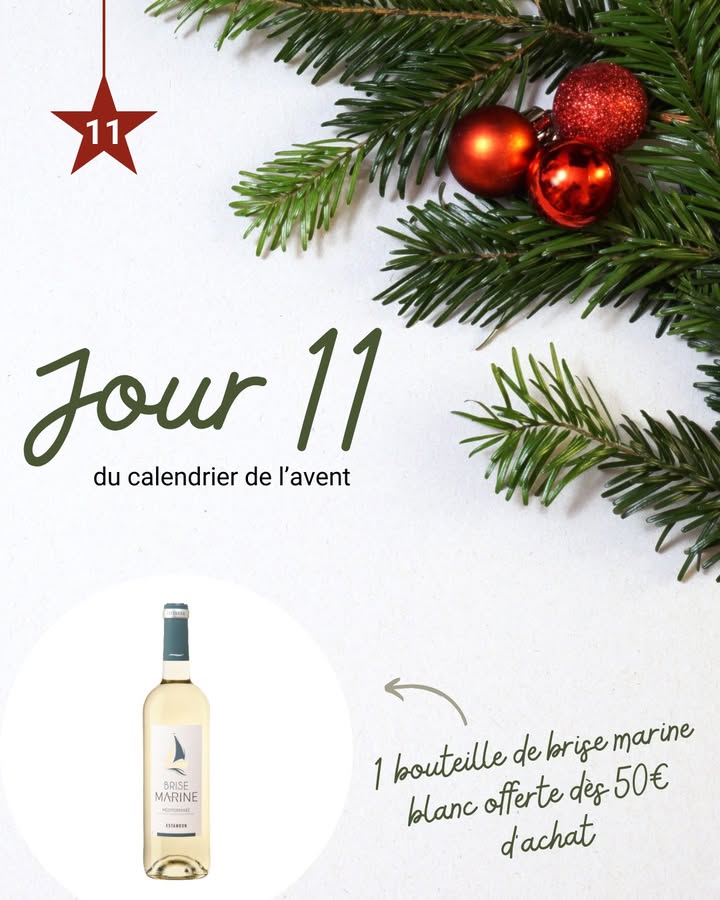 Jour 11 Une touche devasion marine 1 1311766974298794 - Pont l'Abbé Quimper Jour 11 Une touche devasion marine 1 1311766974298794 - Pont l'Abbé Quimper