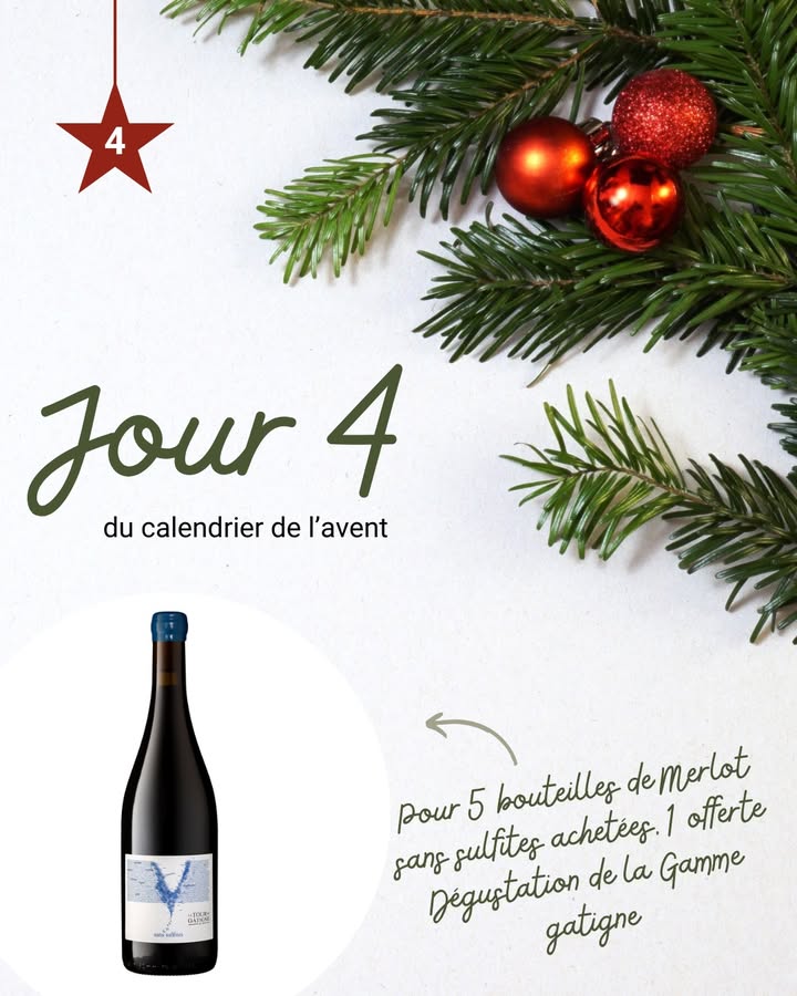 Jour 4 Le Merlot se met sur son 1 1311763584299133 - Pont l'Abbé Quimper