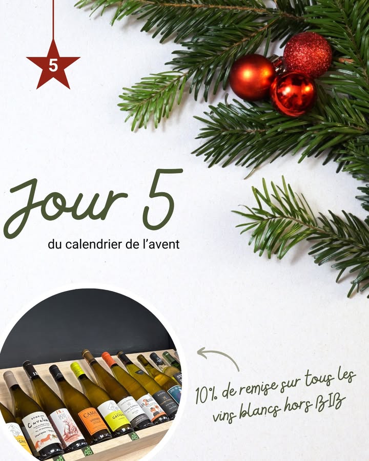 Jour 5 La magie du blanc sinvite dans 1 1311764270965731 - Pont l'Abbé Quimper